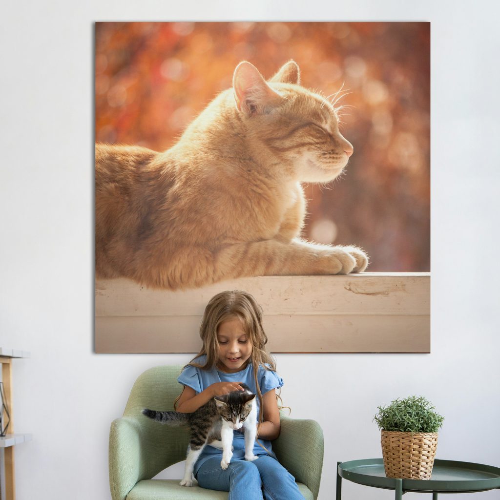 Cuadro personalizado con tu mascota – Varios tamaños